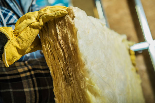 Best Wall Insulation Contractor  in Maxton, NC