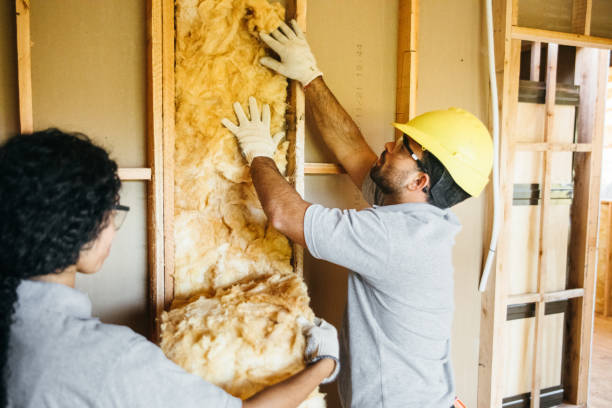 Best Professional Insulation Contractor  in Maxton, NC